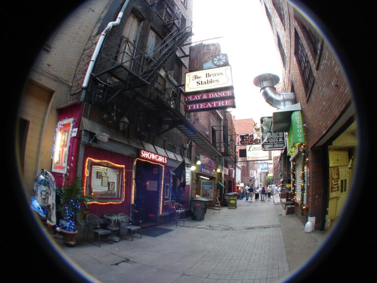 Fisheye view of Printer's Alley